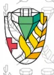 Лечебно-реабилитационный центр Изумруд логотип