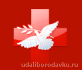 НИИ неотложной детской хирургии и травматологии на Якиманке логотип